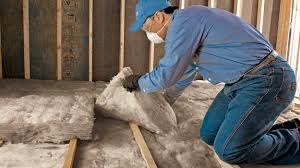 Best Basement Insulation  in The Woodlands, TX